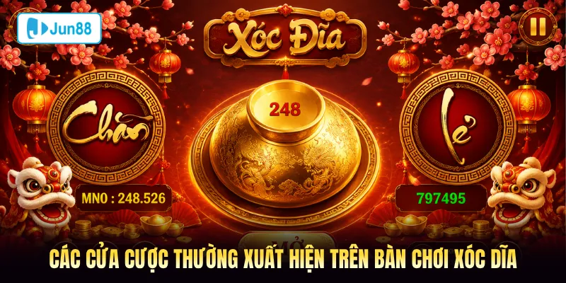 Các cửa cược thường xuất hiện trên bàn chơi Xóc Dĩa Jun88