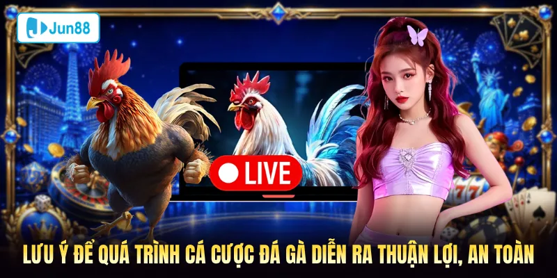 Lưu ý để quá trình đánh cá đá gà Jun88 diễn ra thuận lợi, an toàn